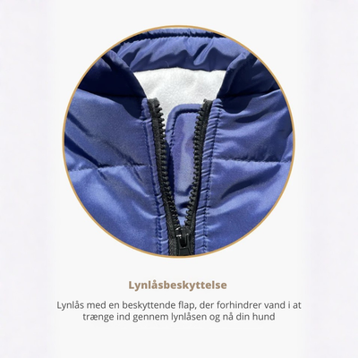 Pupshine- Inget vejr stopper jeres gåture