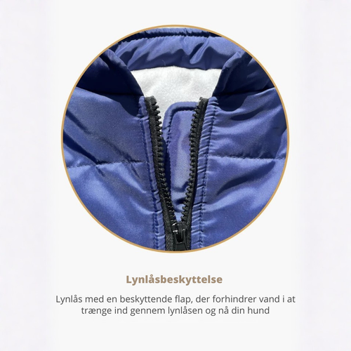 Pupshine- Inget vejr stopper jeres gåture