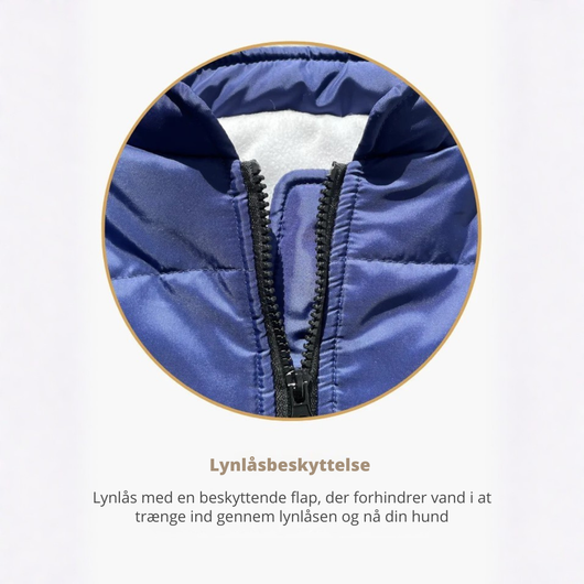 Pupshine- Inget vejr stopper jeres gåture