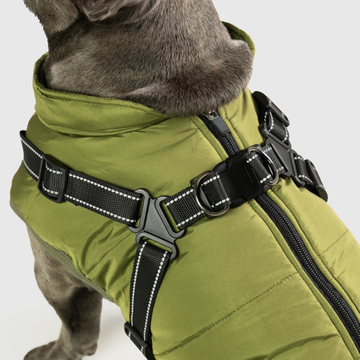 Hver detalje er skabt med din hunds komfort i tankerne