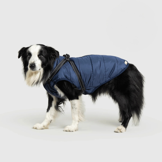Pupshine- Inget vejr stopper jeres gåture
