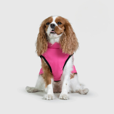 Pupshine- Inget vejr stopper jeres gåture